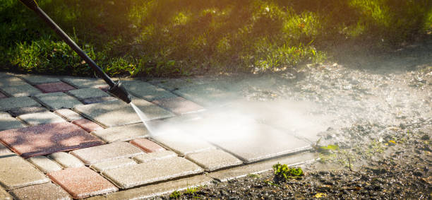 Animal Enclosure Cleaning in Dade City North, FL